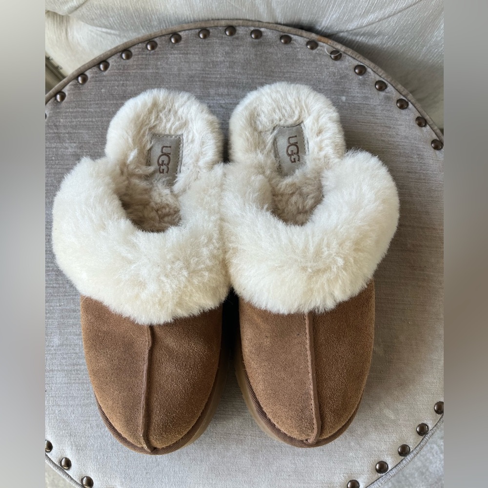 UGG Disquette in Chestnut.